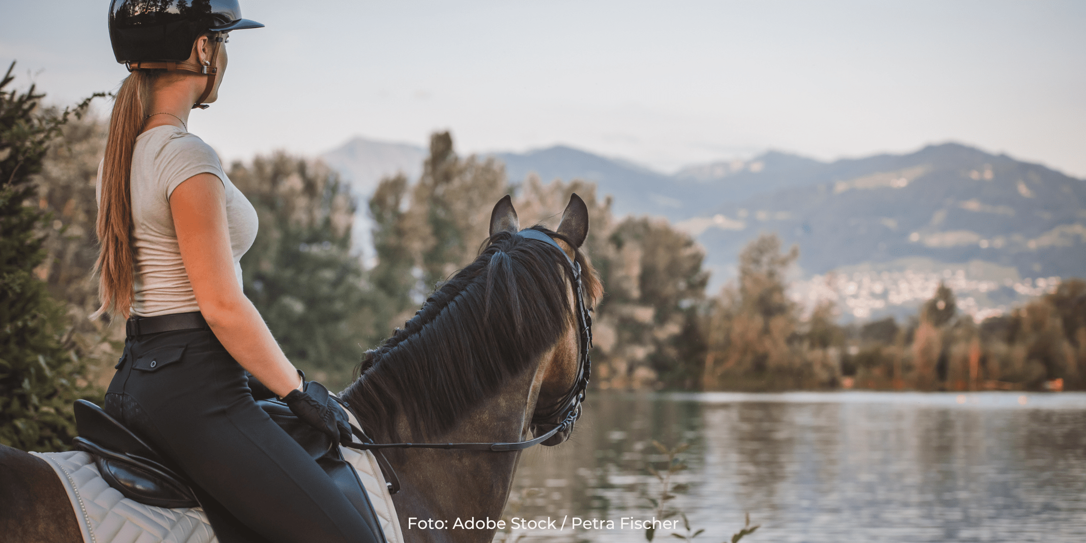 Winter Grazing: Why Pasture Needs Rest – and What to Do Instead