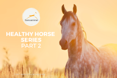 Healthy Horse 2: Early Markers & Metabolic Diseases